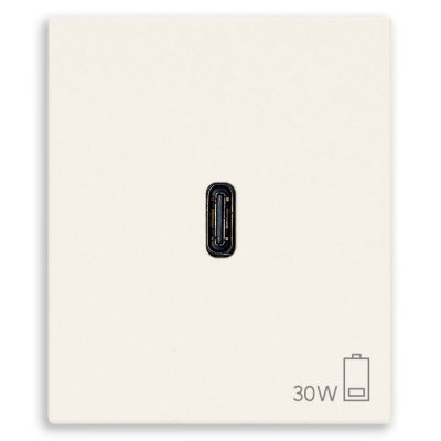 30298.B ALIMENTAT.USB C 30W LINEA