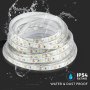 STRISCIA SMD3528 120 LED/M BIANCO CALDO IP65 5000K