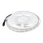 STRISCIA SMD3528 120 LED/M BIANCO FREDDO IP20 6000K