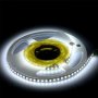 STRISCIA SMD3528 120 LED/M BIANCO FREDDO IP20 6000K