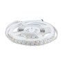 STRISCIA LED SMD5050 60 LEDS RGB+BIANCO FREDDO IP20