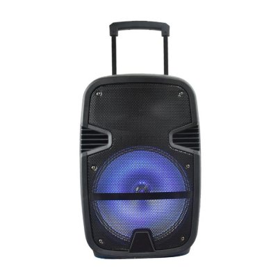 35W CONTROLLO DEL MICROFONO RF ALTOPARLANTE RICARICABILE RF DA 12 POLLICI
