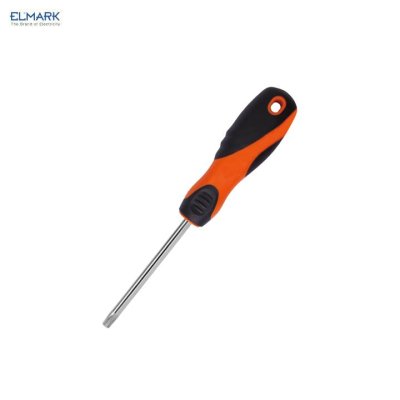 CACCIAVITE TORX T30X100MM