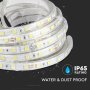 STRISCIA LED 5050 60 LEDS 24V IP65 3000K