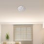 BENITA, LED CEILING LAMP, WHITE MATT GINGKO PATTERN, 24W 120