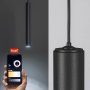 LITRACK PENDANT06V, 5W, 200LM,2700-5500K