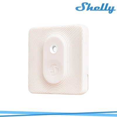 SHELLY BLU H&T IVORY