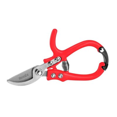 MODELLO DI PIANTA CON FORBICI  DA POTATURA