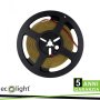 STRISCIA LED COB 480 12V 12W/M 1560LM/M 6000K IP20 5MT